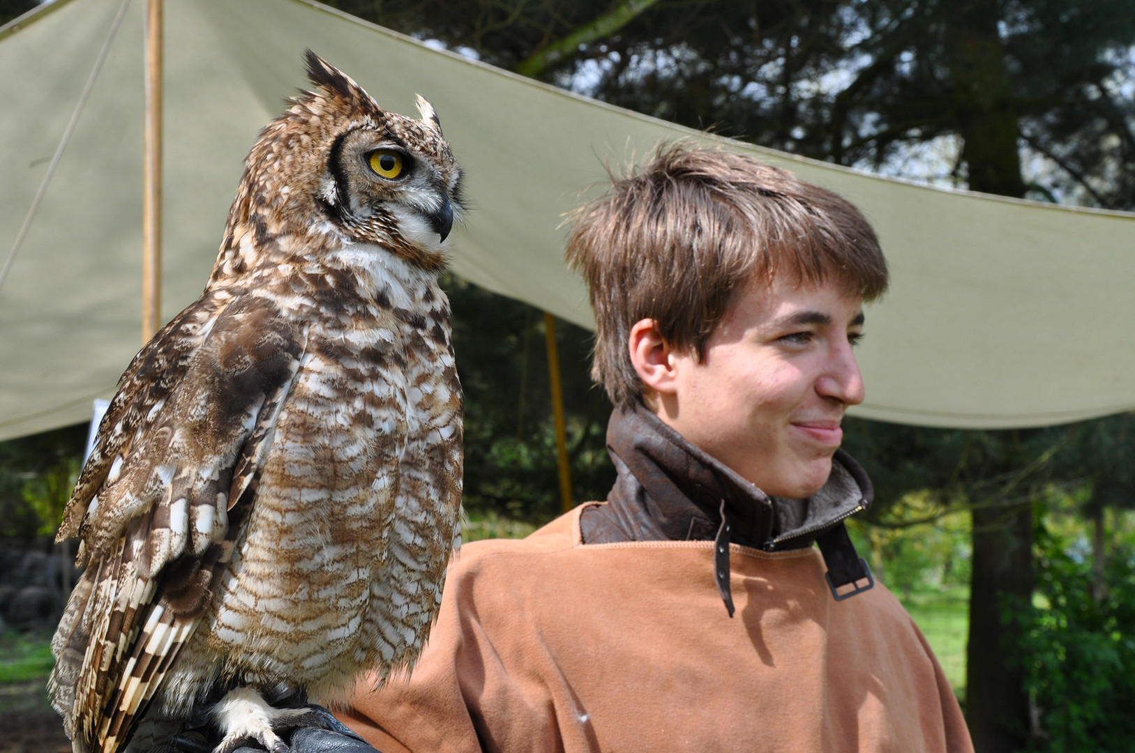 Birds of Prey Workshop